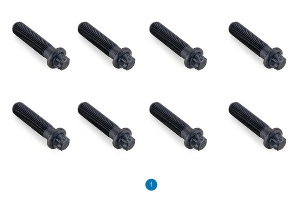 Screw Set (WBC.232)