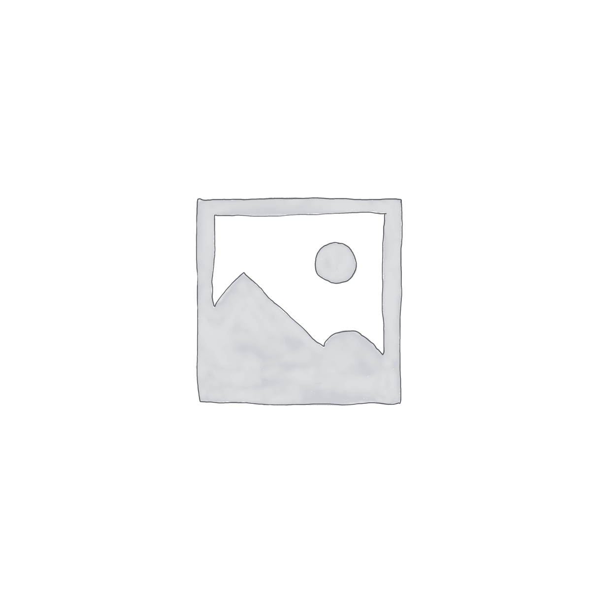 Caliper Repair Kit (KNR.359)